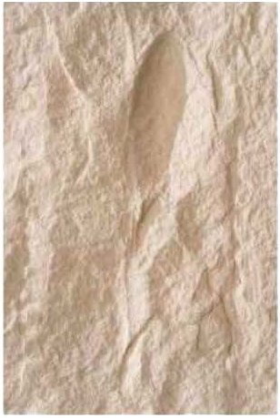 Stone Texture 3
