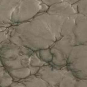 Auriga Texture 4
