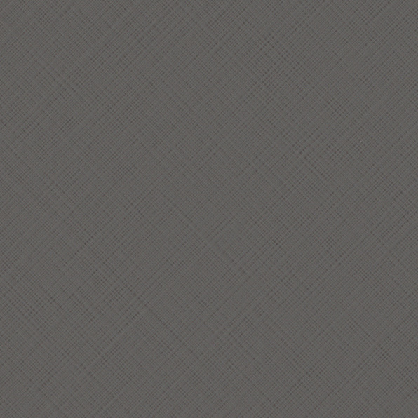 Leather Texture 1