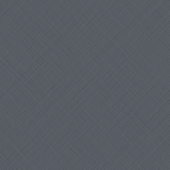 Leather Texture 2