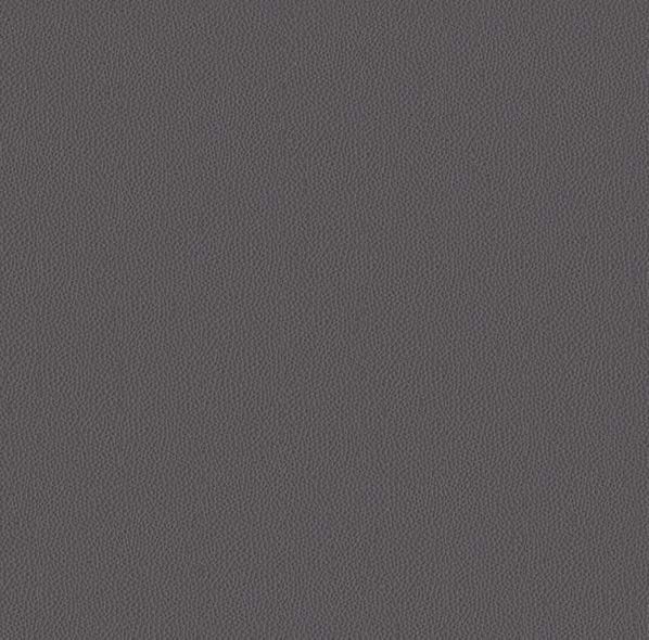 Textured Leather 2
