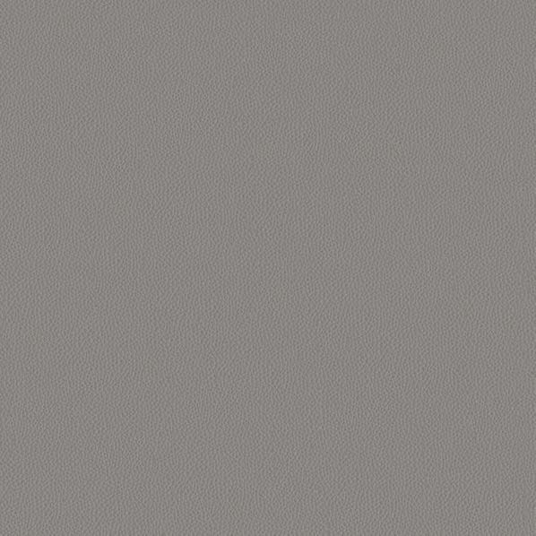 Textured Leather 3
