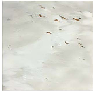 Orion Pattern 3